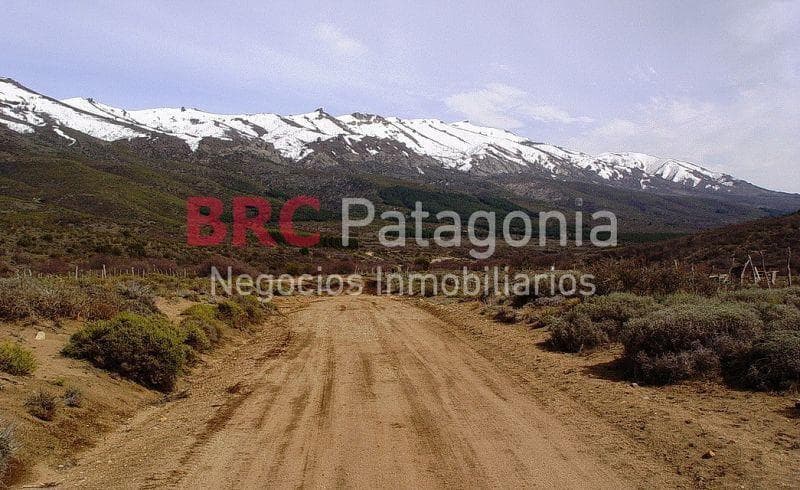 Campo Bariloche - 1