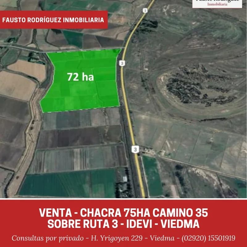 Chacra - Viedma - 1