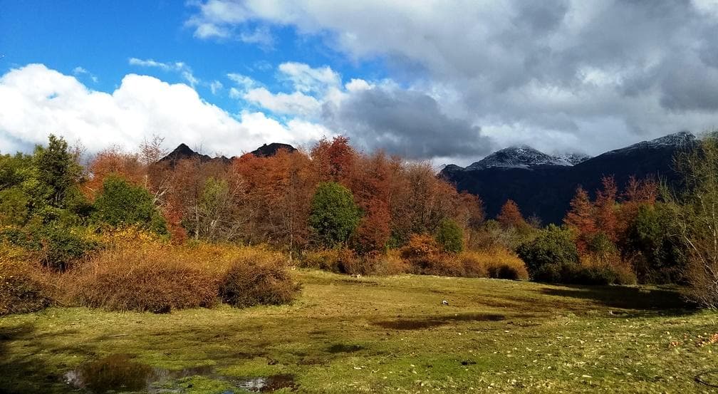 151 ha sobre río. El Bolsón, Río Negro - 1