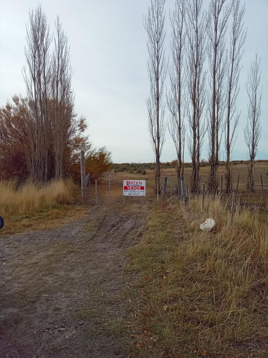 Chacra en Rawson - 1