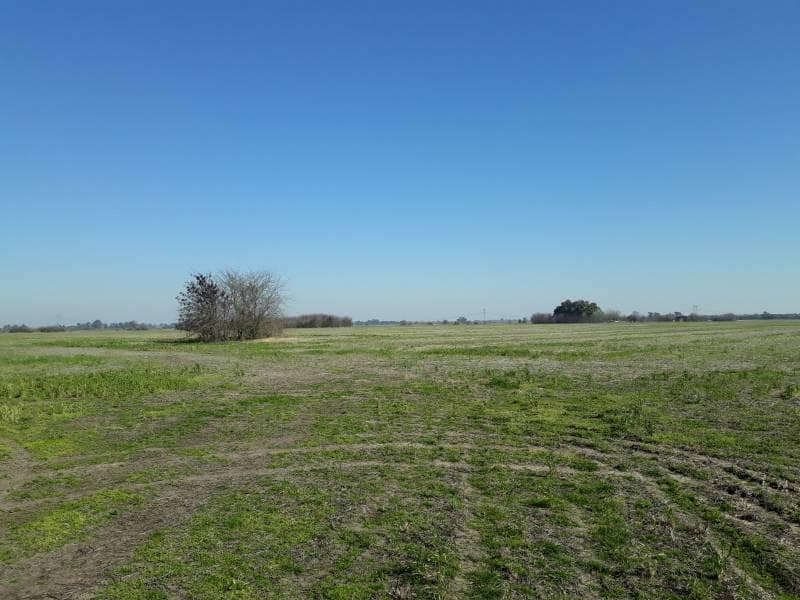 Campo en venta en Los Cardales - 1