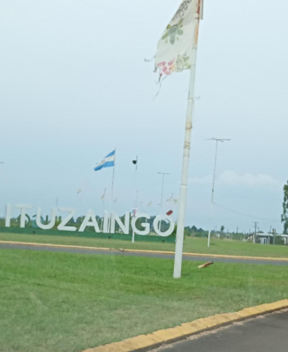 Campo potencial de forestación - Ituzaingó- Corrientes- Argentina - 1