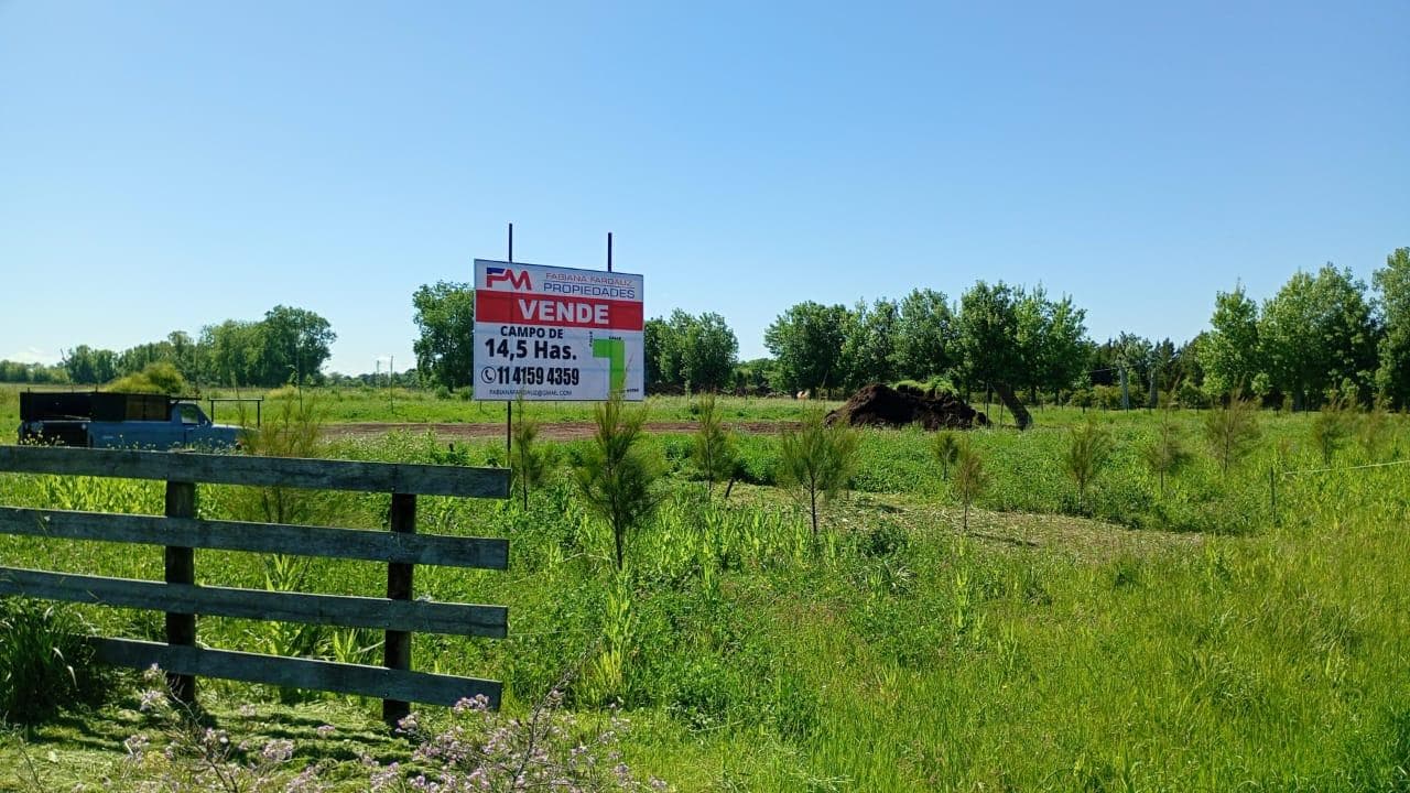 Campo - Carlos Keen - 1