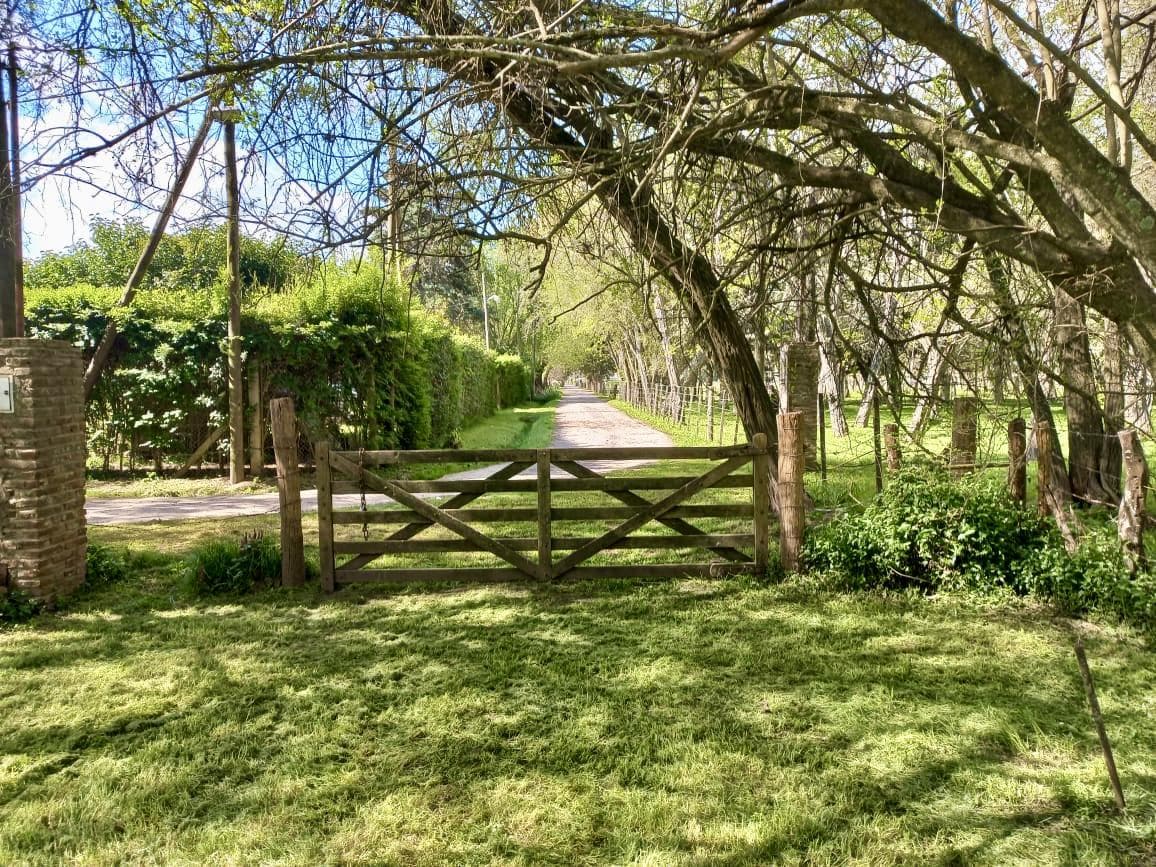 Excelente chacra a mts de la Ruta 210 con estupenda forestación galpón vivienda!! - 1