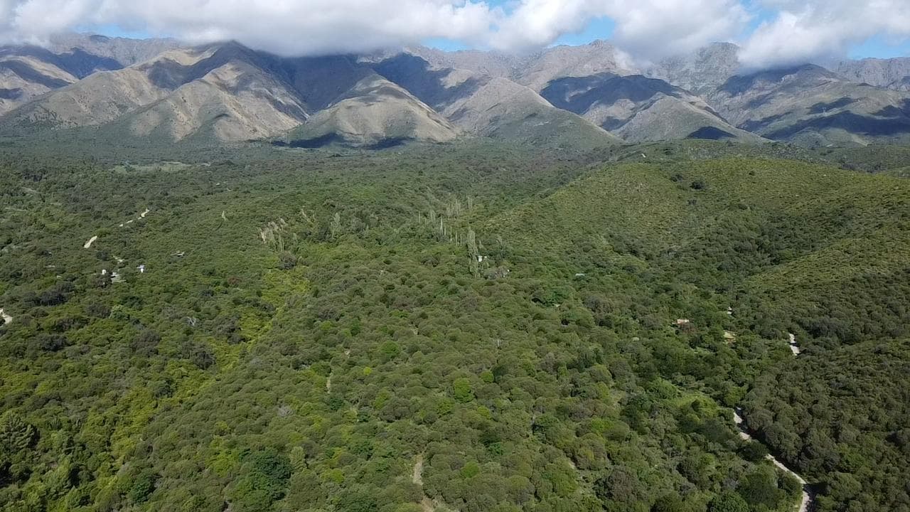 En Venta 5 Hectareas con Arroyo en San Javier con Escritura, Traslasierra!! - 1