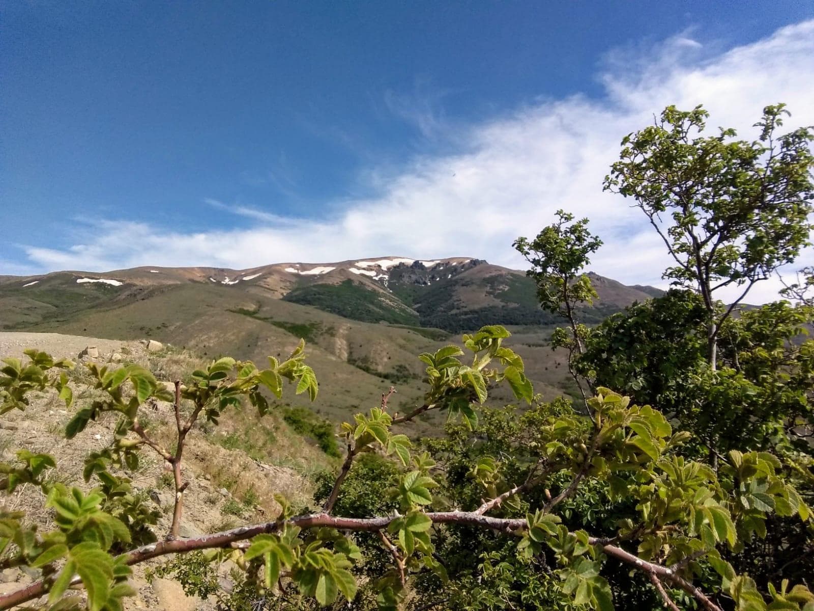 Terreno - Aluminé - 1