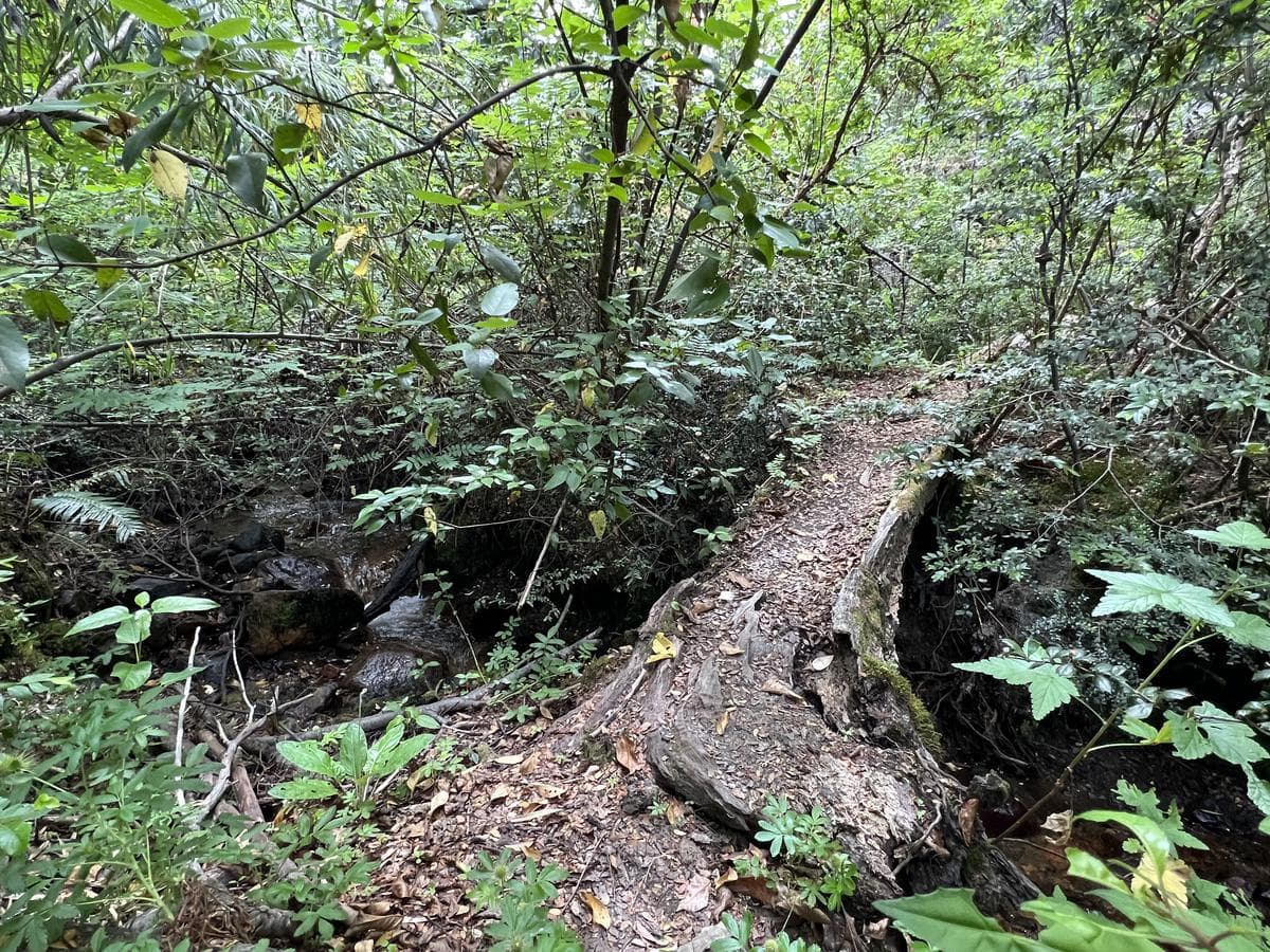 Terreno en Villa La Angostura - 1