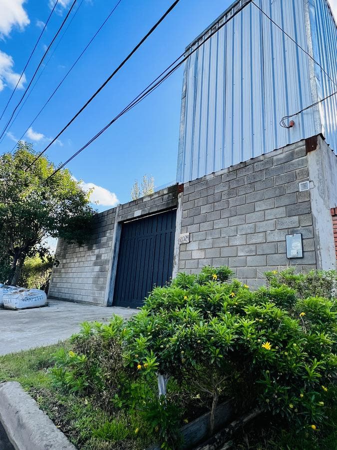 Cardeza 2024 - Luis Guillon - 1