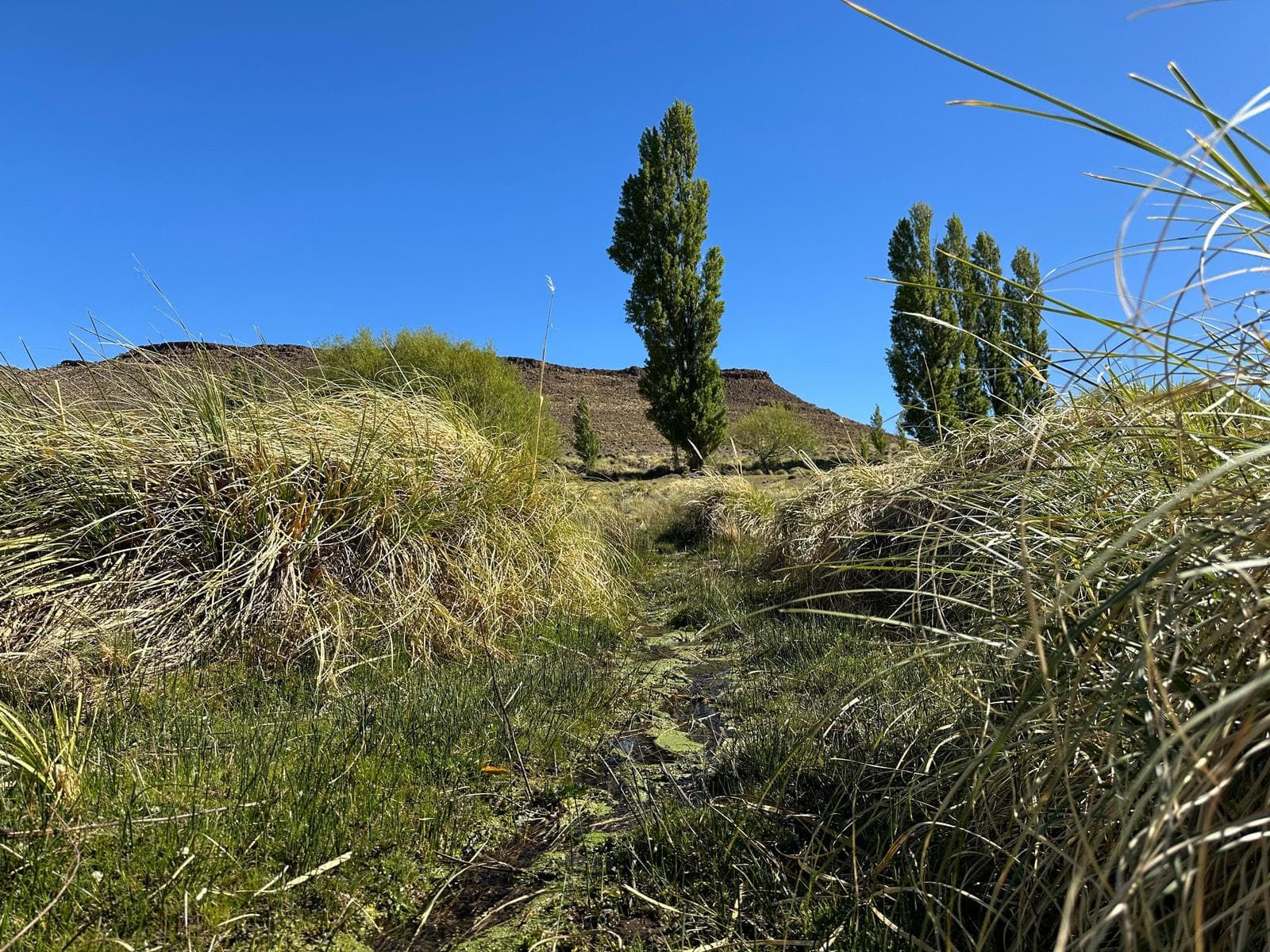 Campo de 13.685has cercano a Ingeniero Jacobacci - 1