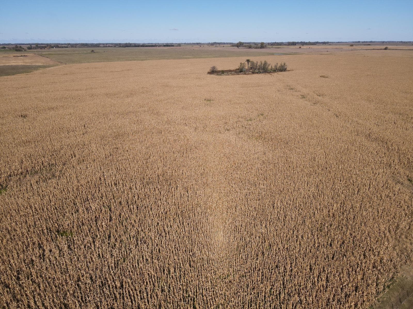 Campo en venta 180 Has mixtas en Gral. Las Heras - 1