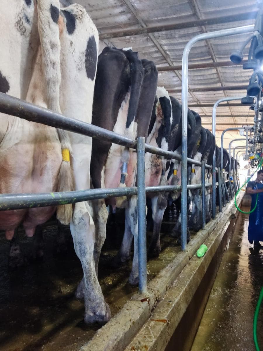 Tambo en venta fondo de comercio Navarro - 1