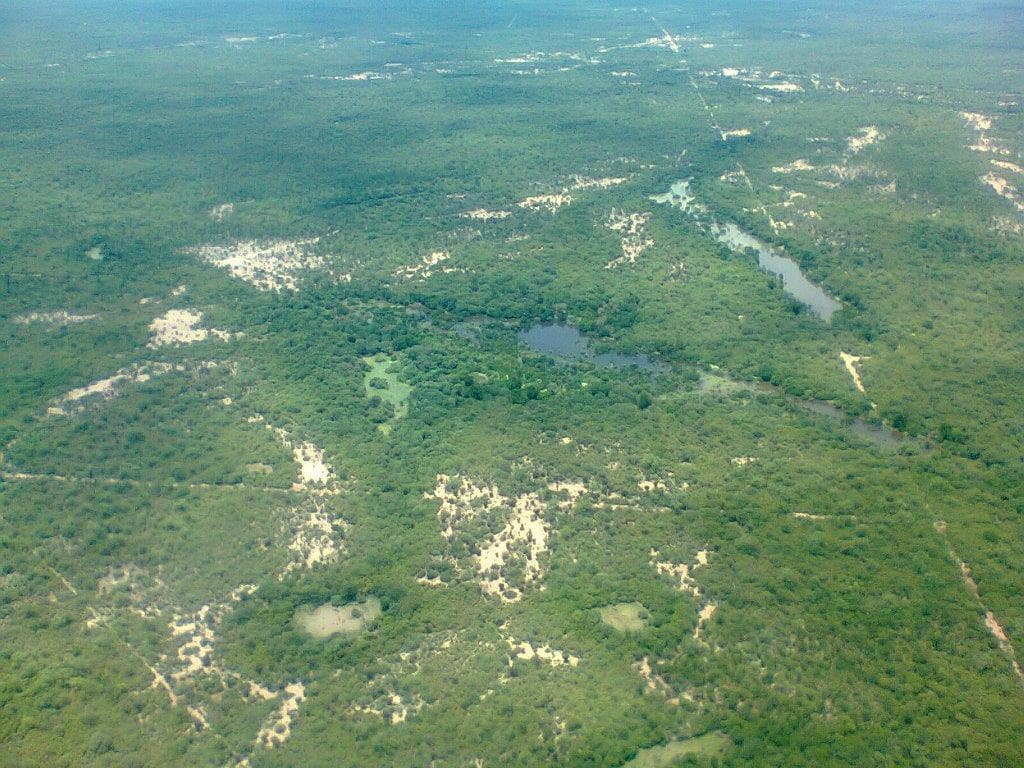 En Venta 5270 Has Campo Mixto - 1