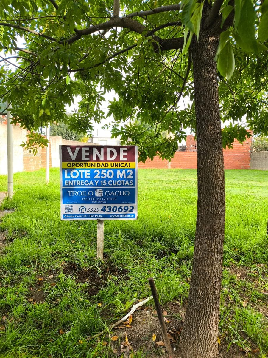 Terreno - San Pedro - 1