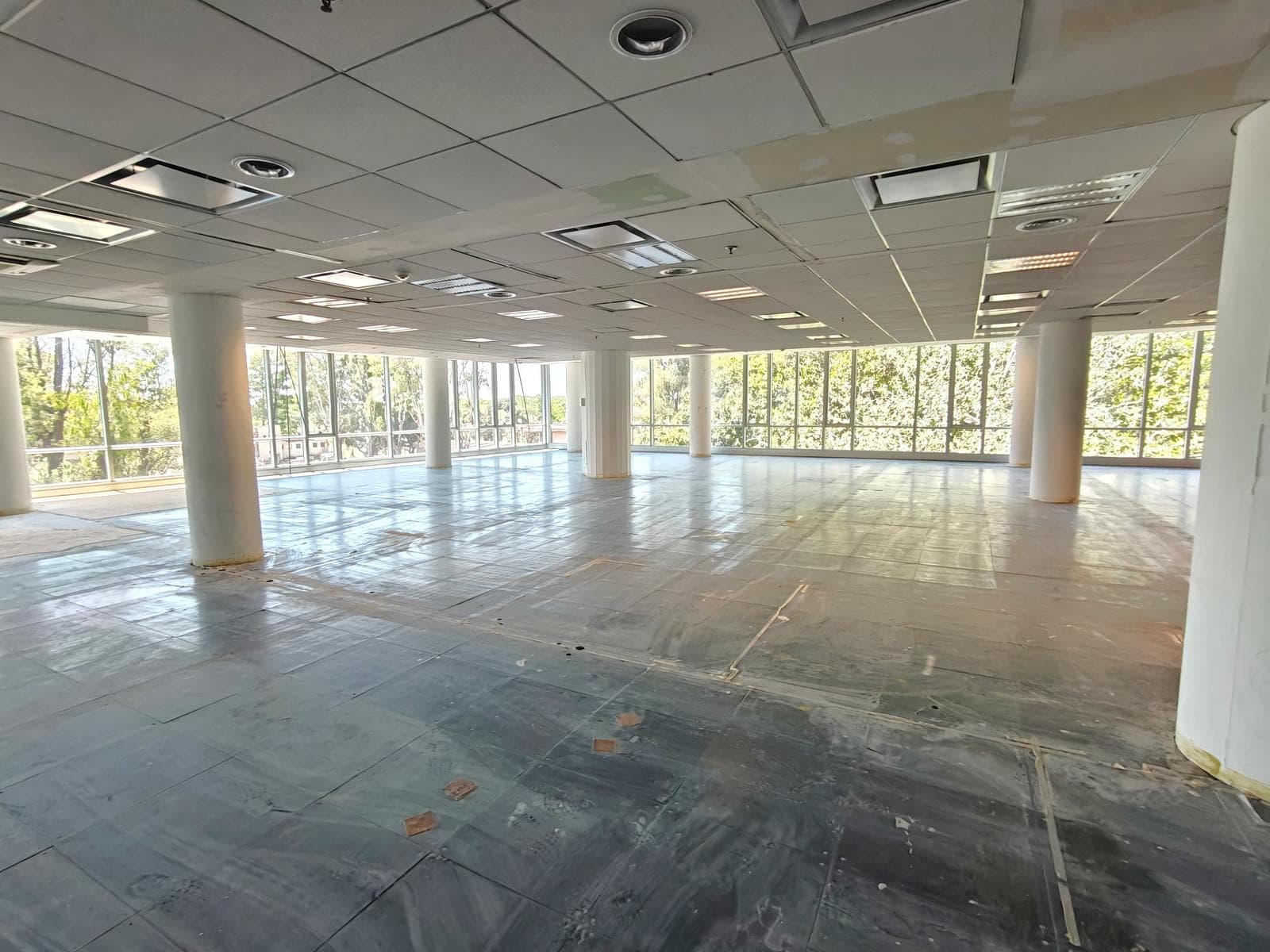 Oficina en Alquier AAA en Vicente López - 1