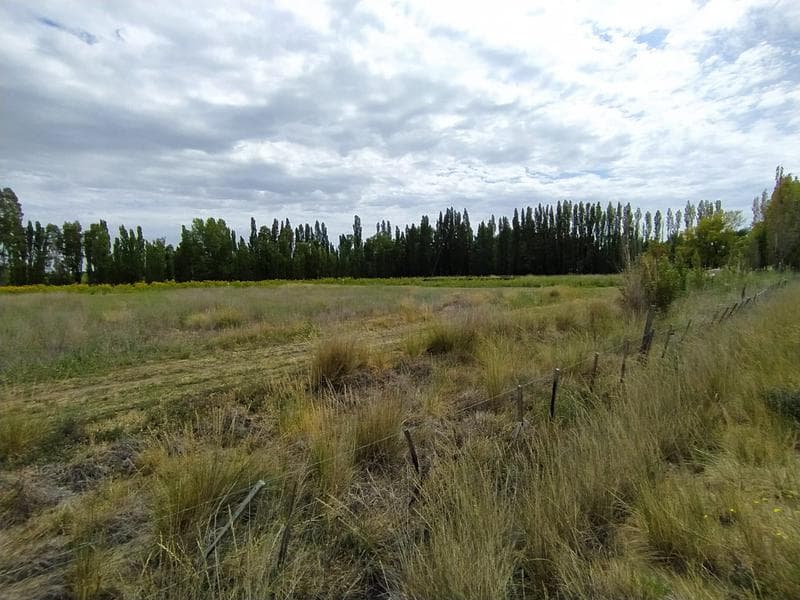 Chacra - Trelew - 1