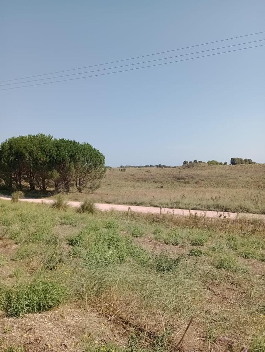 Terreno en venta - 4828Mts2 - Reta - 1