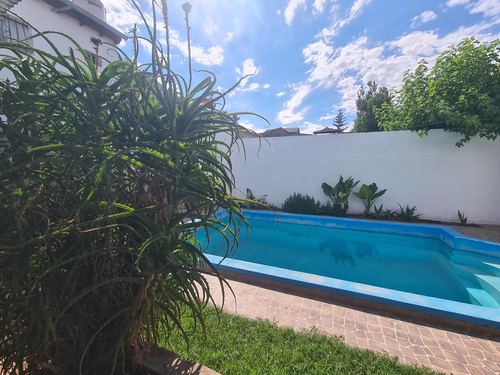 Disponibilidad Inmediata - 1