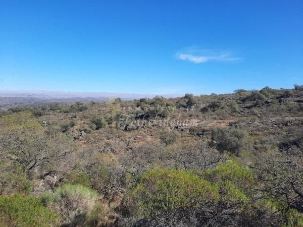 CAMPO LOS ESPINILLOS - 7 HECTAREAS - VALLE DE CALAMUCHITA - 1