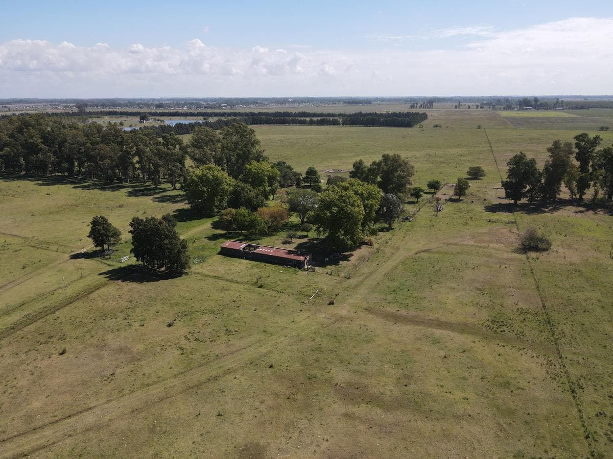 103 Has San Vicente - 1