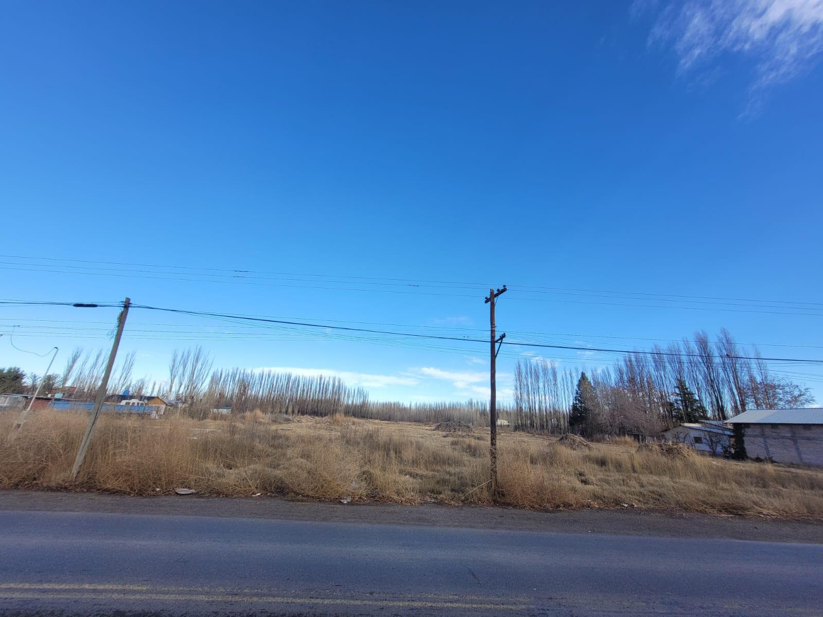HECTAREAS EN RIO COLORADO,ZONA AEROPUERTO NEUQUEN - 1