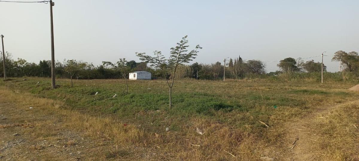 Terreno - Villa Carmela - 1