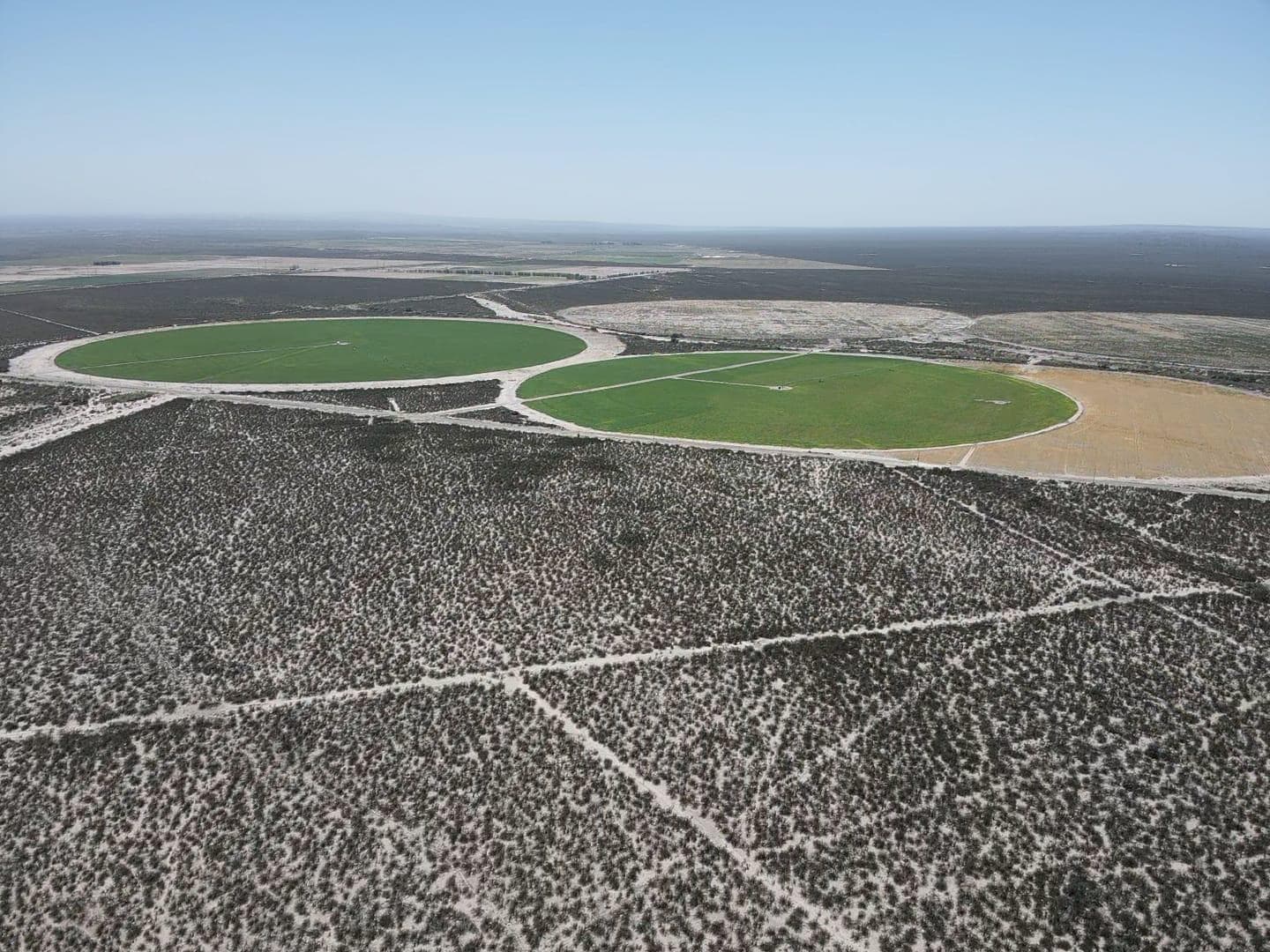 Campo en venta 1400 has en fracciones Zapata, Mendoza. Apto Cultivos Extensivos !!! - 1