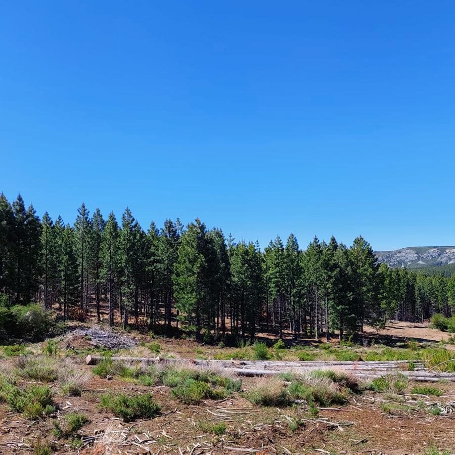 Campo 312 has - Arroyo del Medio, Bariloche, Rio Negro - 1