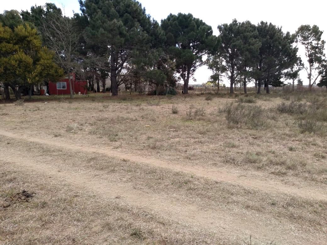 Terreno en Calle El Cangrejo -Paraje Pavon- - 1