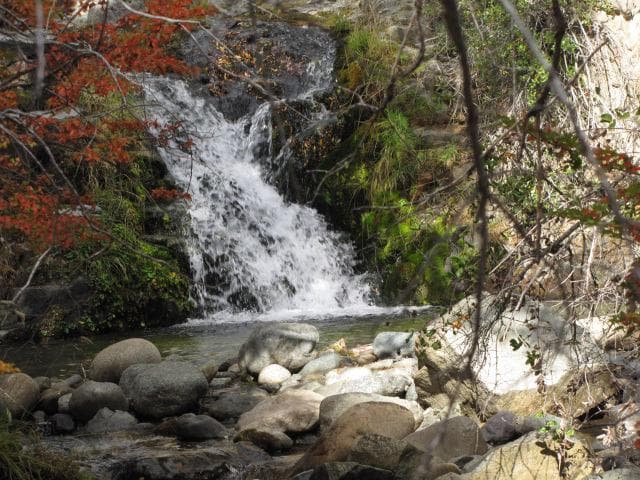 Campo "Las Cascadas" en venta - 376 has. - Cholila - Chubut - 1