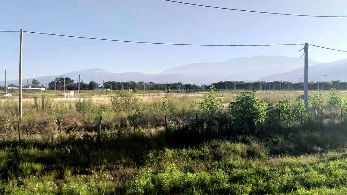 Terreno en Venta en LA CARLOTA - 1