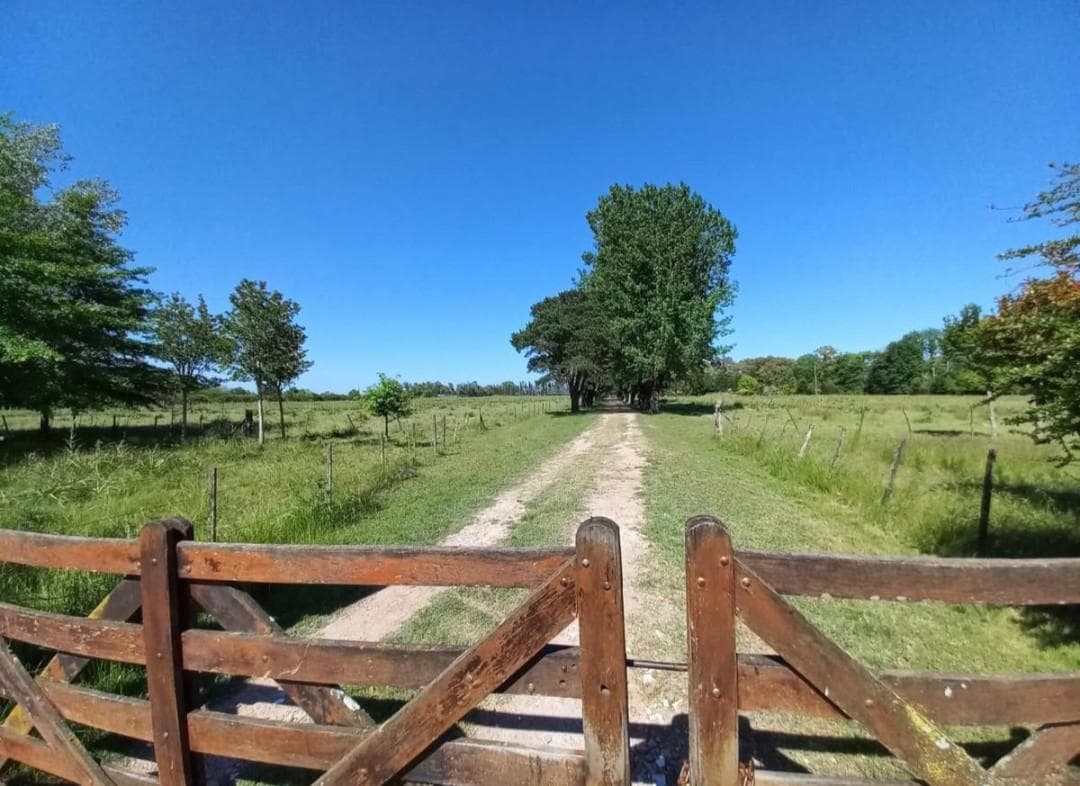 Campo 10 hectareas - Exaltacion de la Cruz- Ruta 192 - 1