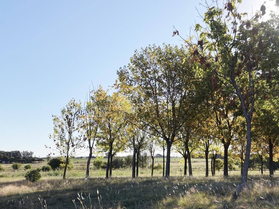 LOTEO LAGO DE OBLIGADO – SAN PEDRO | Financiación en dólares | Escritura inmediata - 1