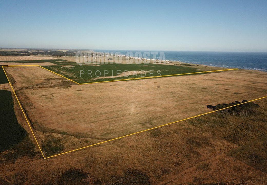 Campo en Venta en Mar del Sur, sobre la playa - 1