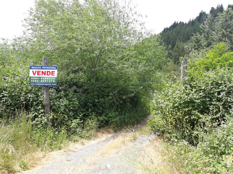 Chacra - Lago Puelo - 1