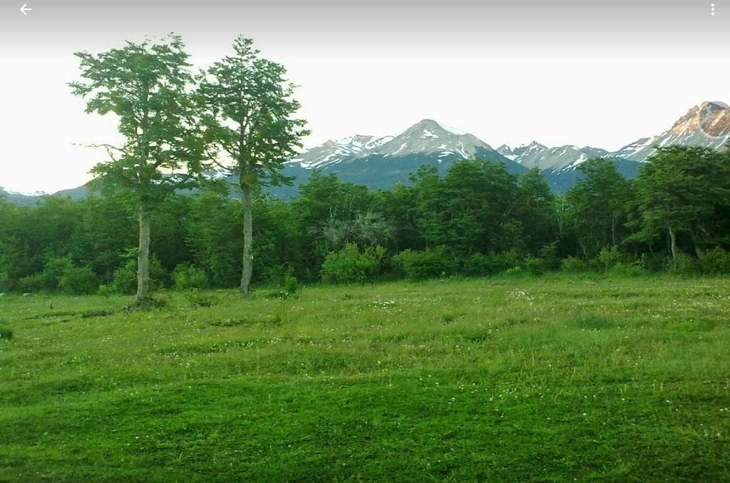 Chacra de 2.8 has en Venta sobre ruta en Chubut - 1