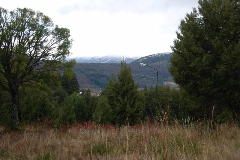 VENTA 32 HECTAREAS EN SAN MARTIN DE LOS ANDES - 1