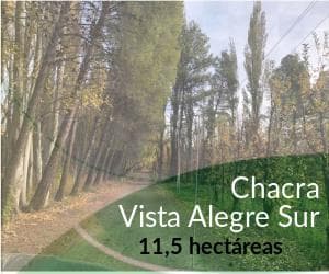 Venta chacra 11,5 hectáreas en Vista Alegre Neuquén - 1