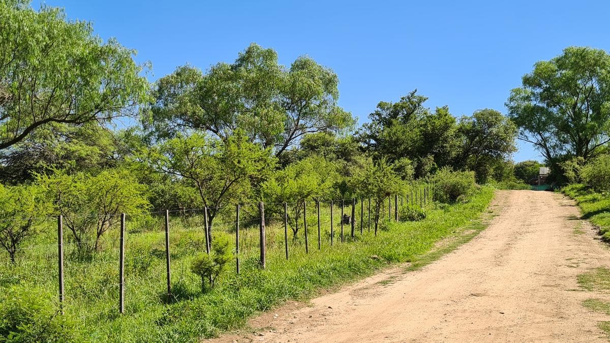 Oportunidad - ÚLTIMO LOTE - 1 Cuadra del Rio - 1