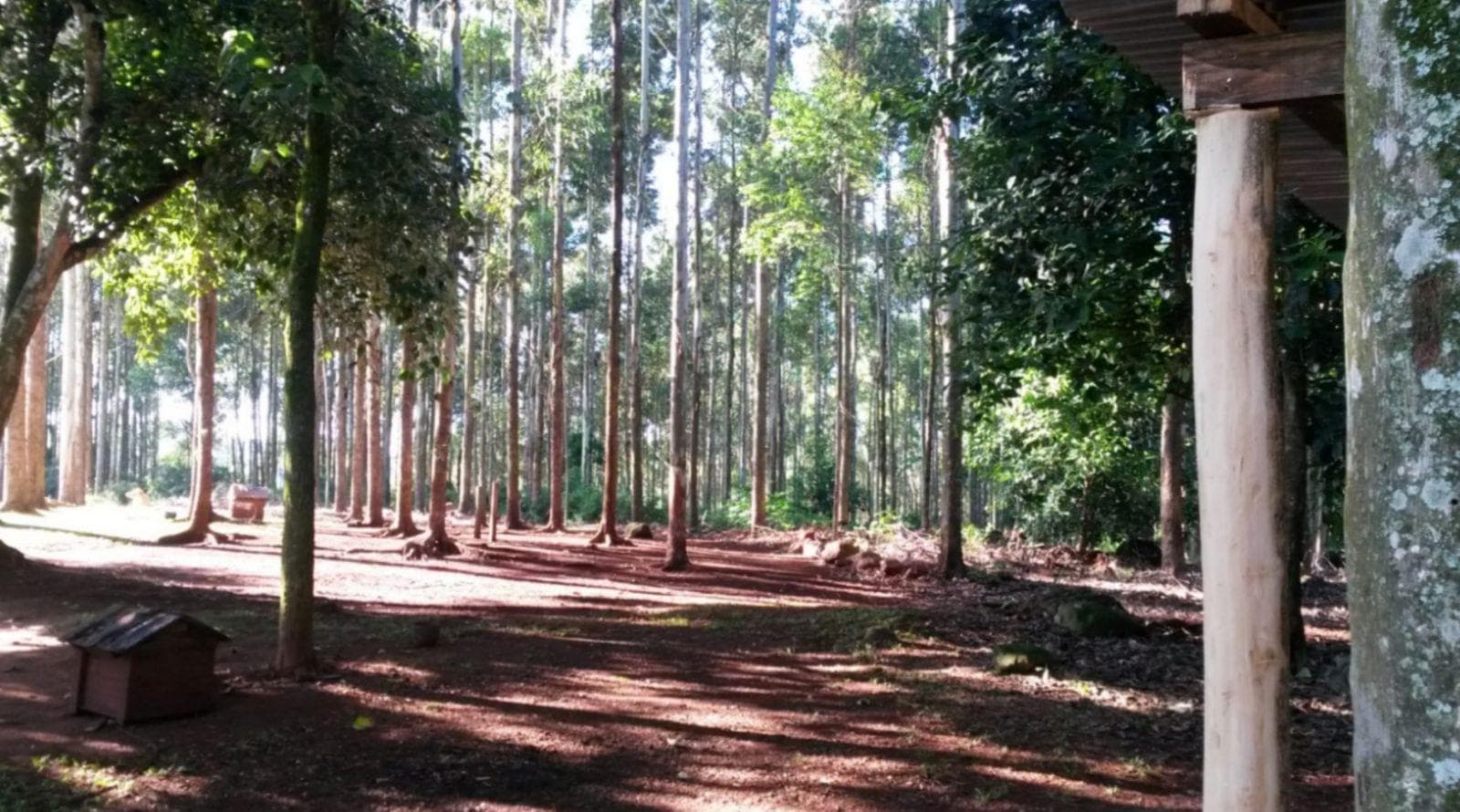 Campo 95.88h en Campo Grande, Misiones - 1