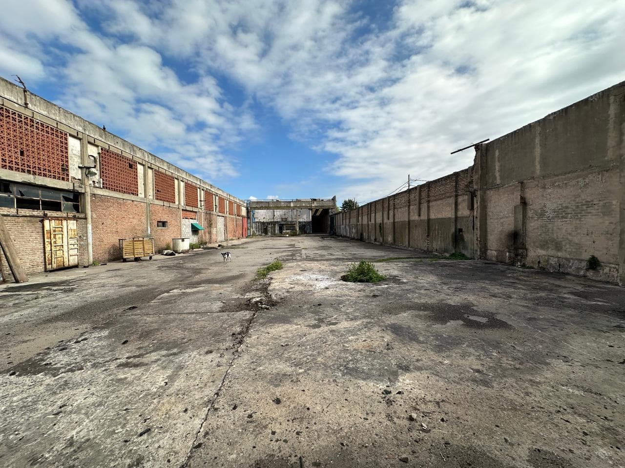 Depósito a refaccionar con oficinas y playa de maniobras. - 1