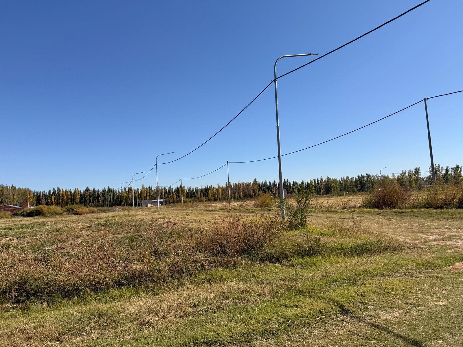 Terreno en venta Allen excelente ubicación - 1