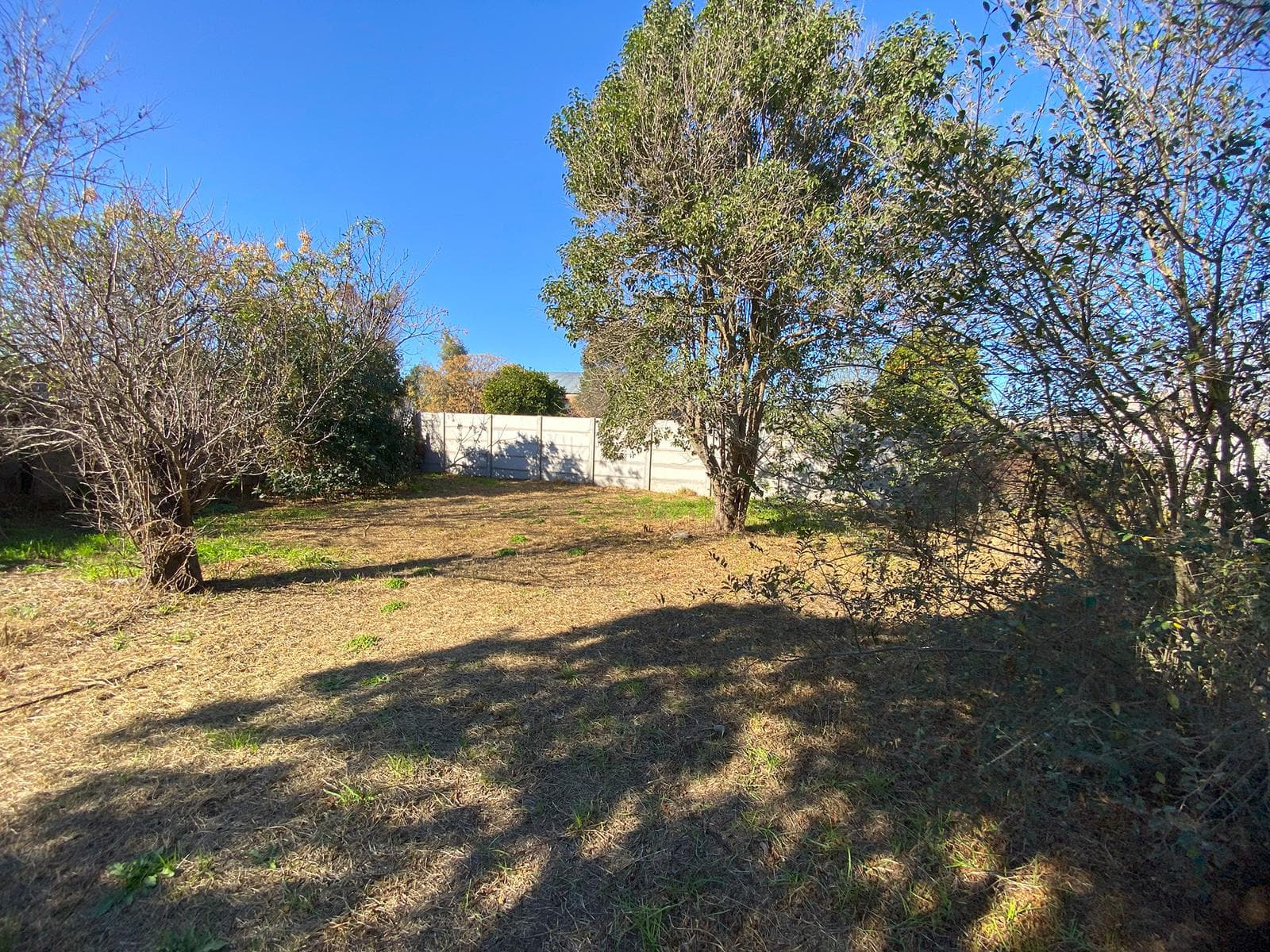 Terreno en Dorila - 1