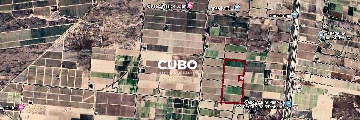 VENTA FINCA 30 HAS., UGARTECHE, LUJÁN DE CUYO, MENDOZA. - 1