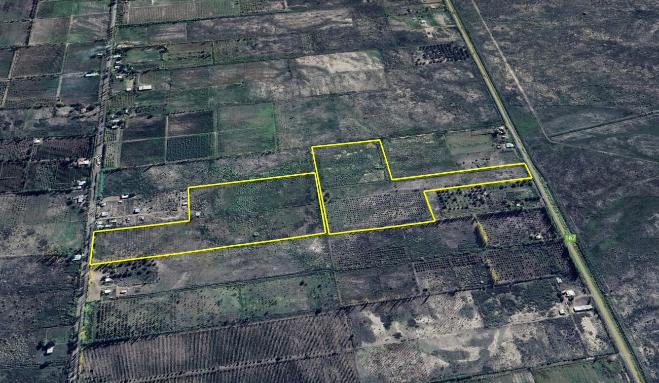 Oportunidad Venta de 2 Fincas aledañas en Cañada Seca , San Rafael , Mendoza. Frutihorticola, Forrajes, Turismo, - 1