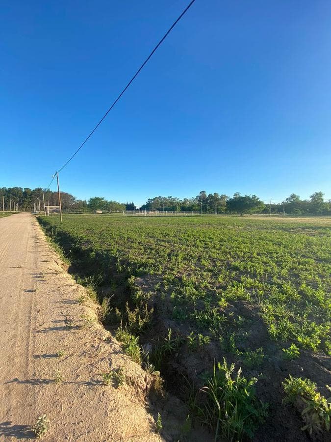 Terreno en venta - 300Mts2 - Latitud 34, Los Hornos, La Plata - 1