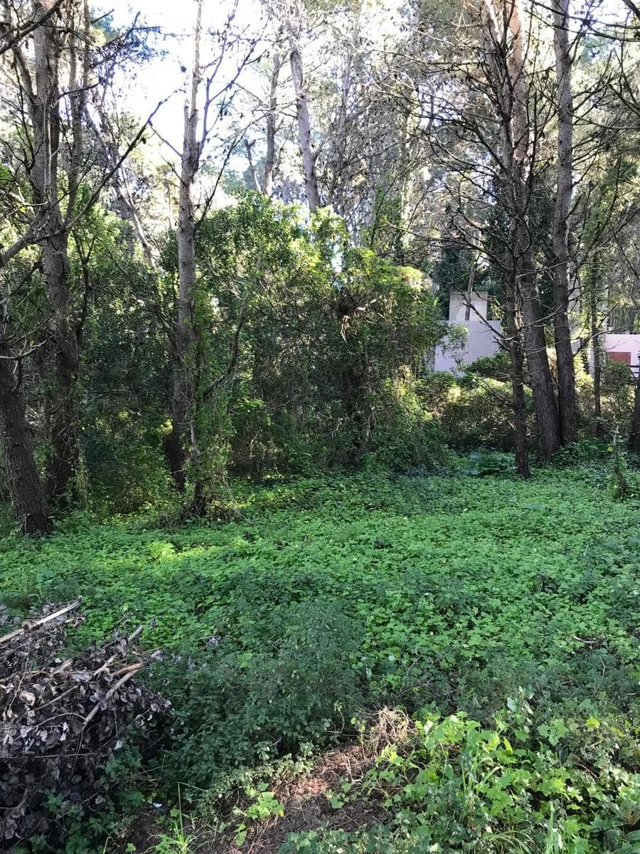 Terreno en esquina en Mar Azul - 1