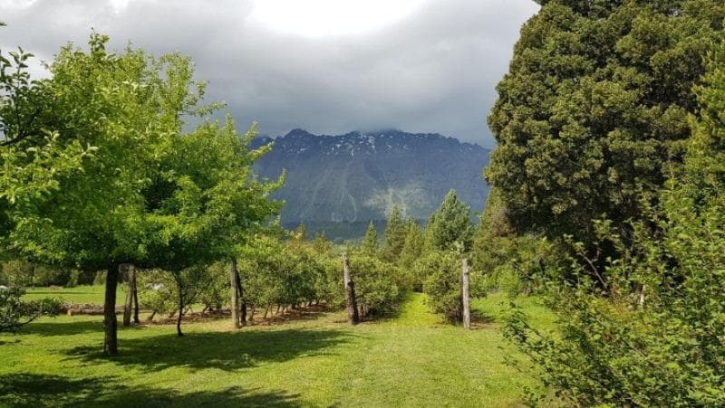 Chacra - Las Golondrinas - 1