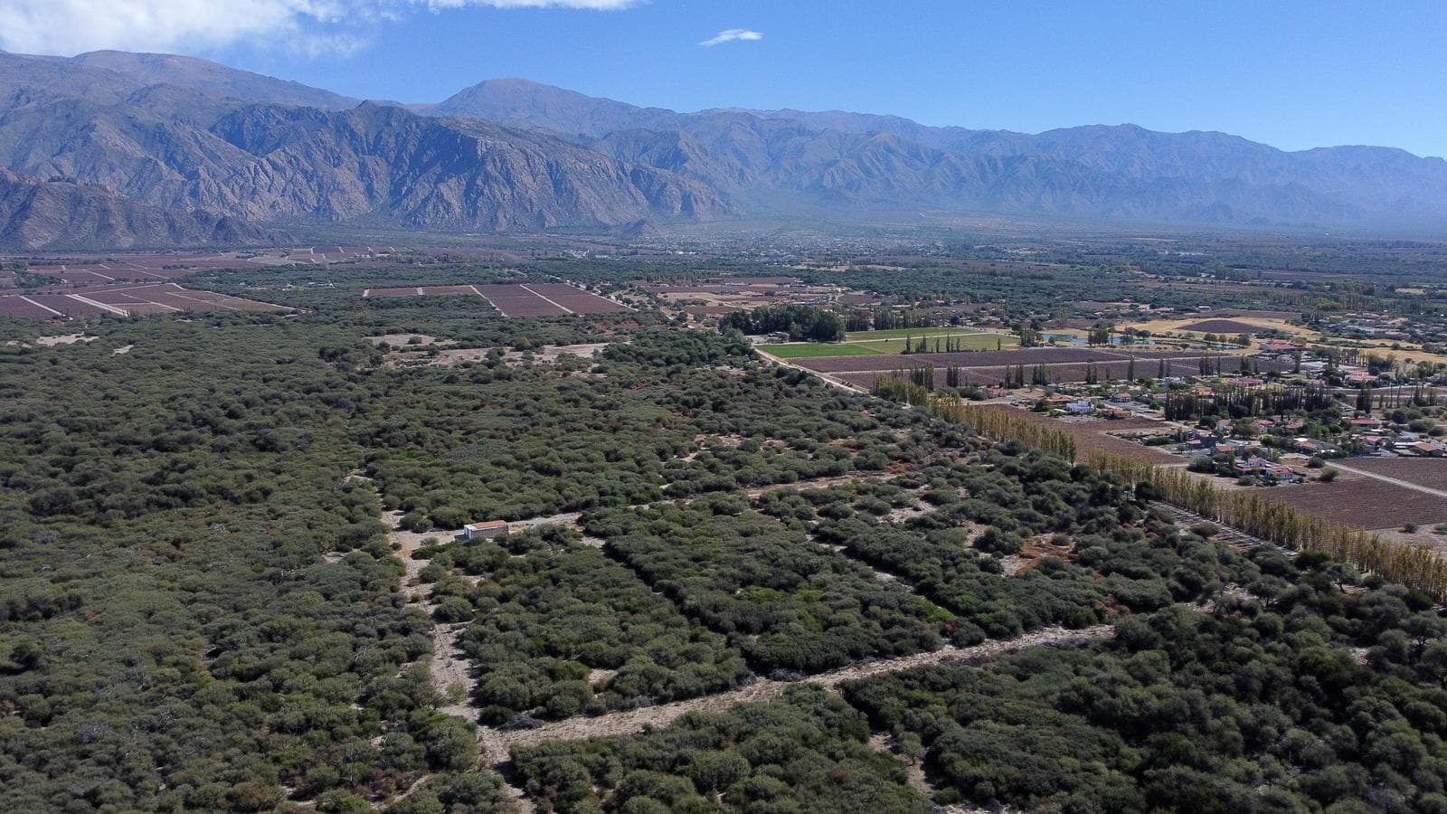 Campo de 77 has En Venta - 1