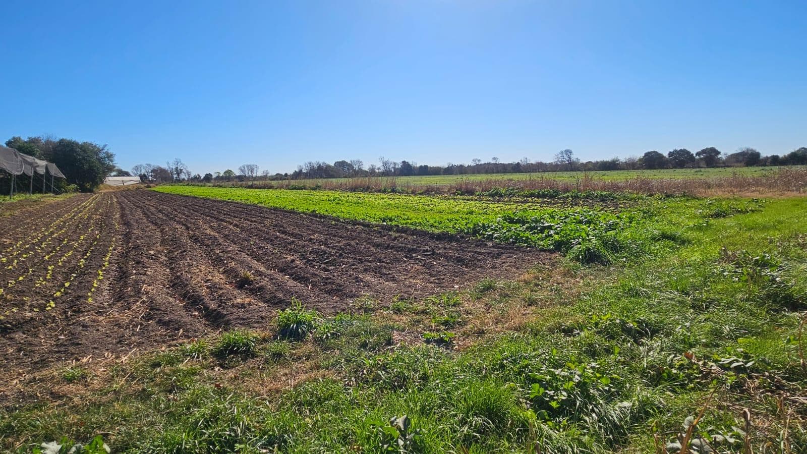 Campo en Venta en Colonia Caroya, Córdoba! - 1