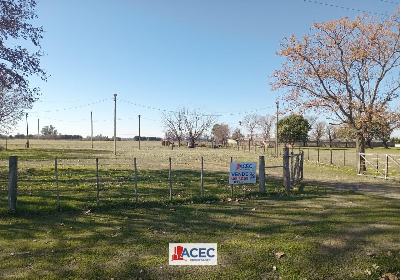 Venta - Terreno - Oliveros - 1